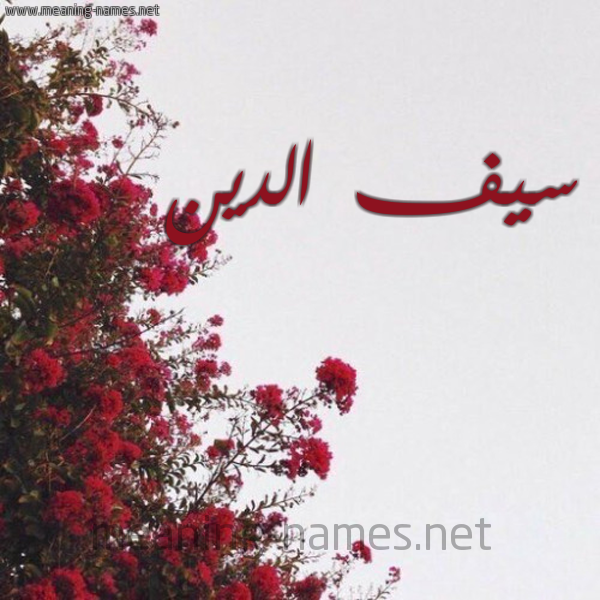 شكل 18 صوره الورد الأحمر للإسم بخط رقعة صورة اسم سيف الدين SAIF-EDDINE